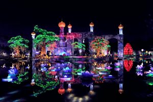 Trees lit up in Dubai Garden Glow