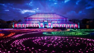 Temperate House at Kew Gardens lit up at night